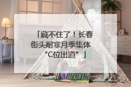 藏不住了！长春街头耐寒月季集体“C位出道”