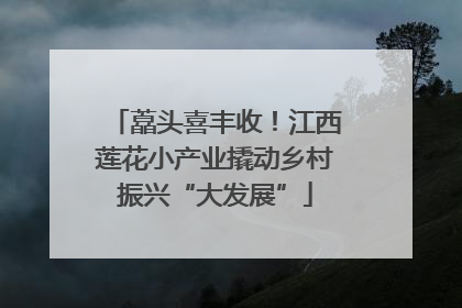 藠头喜丰收！江西莲花小产业撬动乡村振兴“大发展”