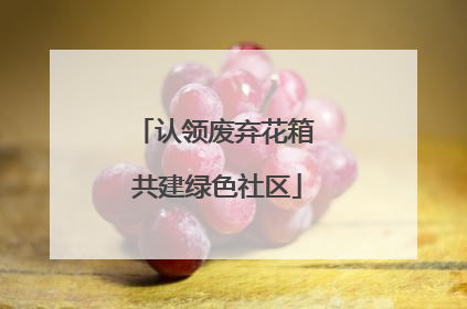 认领废弃花箱 共建绿色社区