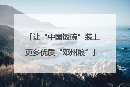 让“中国饭碗”装上更多优质“邓州粮”
