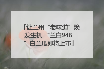 让兰州“老味道”焕发生机 “兰白946”白兰瓜即将上市