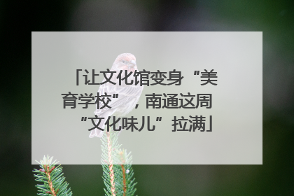 让文化馆变身“美育学校”，南通这周“文化味儿”拉满