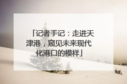 记者手记：走进天津港，窥见未来现代化港口的模样