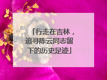 行走在吉林，追寻陈云同志留下的历史足迹