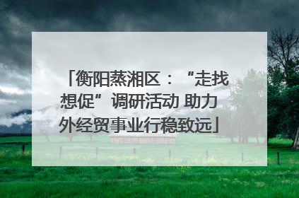 衡阳蒸湘区：“走找想促”调研活动 助力外经贸事业行稳致远