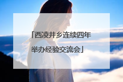 西凌井乡连续四年举办经验交流会