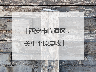 西安市临潼区：关中平原夏收