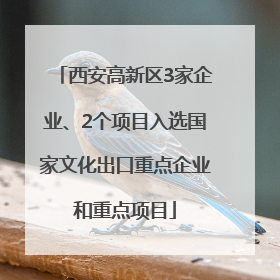 西安高新区3家企业、2个项目入选国家文化出口重点企业和重点项目