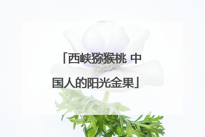西峡猕猴桃 中国人的阳光金果