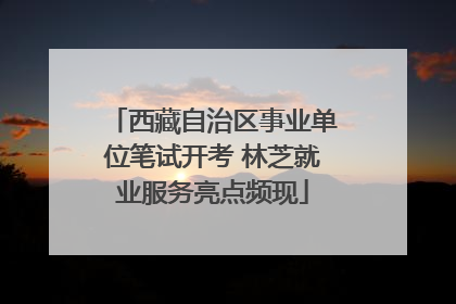 西藏自治区事业单位笔试开考 林芝就业服务亮点频现