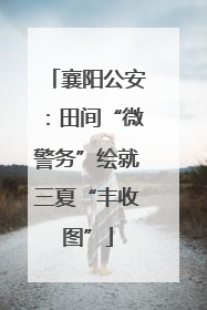 襄阳公安：田间“微警务”绘就三夏“丰收图”