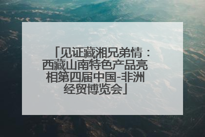 见证藏湘兄弟情：西藏山南特色产品亮相第四届中国-非洲经贸博览会