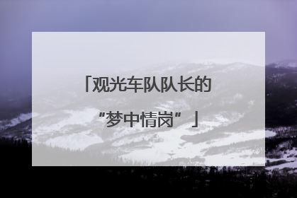 观光车队队长的“梦中情岗”