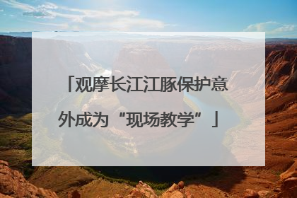 观摩长江江豚保护意外成为“现场教学”