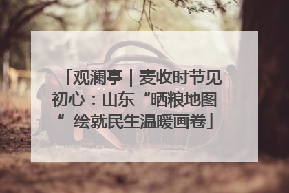 观澜亭｜麦收时节见初心：山东“晒粮地图”绘就民生温暖画卷