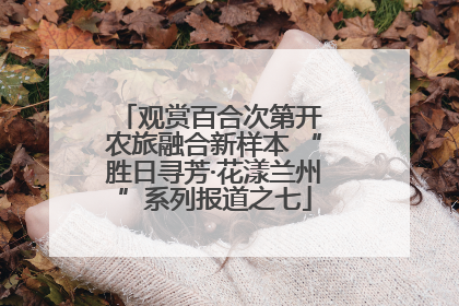 观赏百合次第开 农旅融合新样本 “胜日寻芳·花漾兰州”系列报道之七