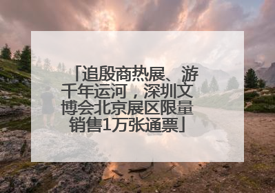 追殷商热展、游千年运河，深圳文博会北京展区限量销售1万张通票