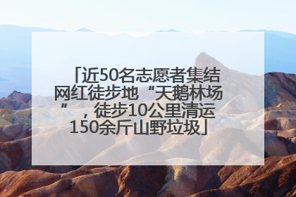 近50名志愿者集结网红徒步地“天鹅林场”，徒步10公里清运150余斤山野垃圾