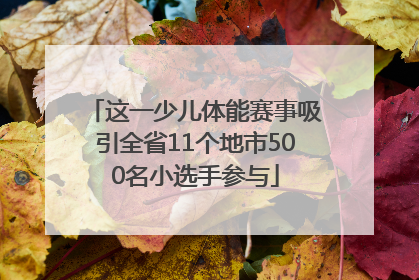 这一少儿体能赛事吸引全省11个地市500名小选手参与