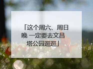 这个周六、周日晚 一定要去文昌塔公园逛逛