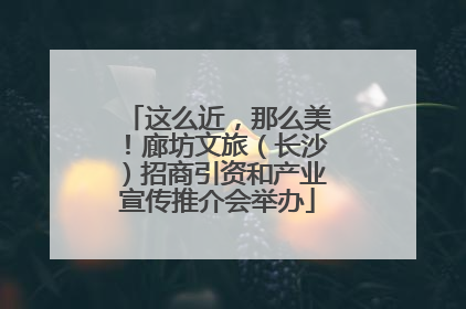 这么近，那么美！廊坊文旅（长沙）招商引资和产业宣传推介会举办