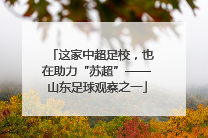 这家中超足校，也在助力“苏超”——山东足球观察之一