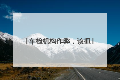 车检机构作弊，该抓