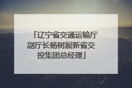 辽宁省交通运输厅副厅长杨树履新省交投集团总经理