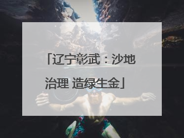 辽宁彰武：沙地治理 造绿生金