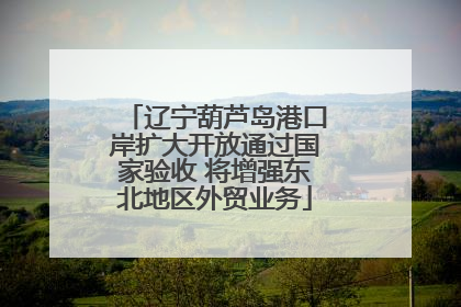 辽宁葫芦岛港口岸扩大开放通过国家验收 将增强东北地区外贸业务