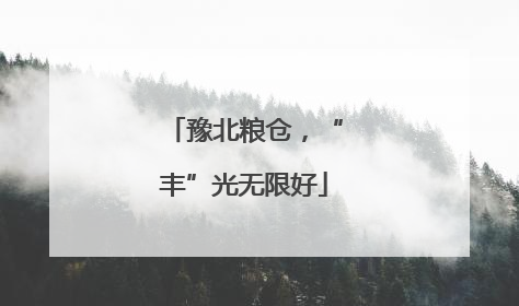 豫北粮仓，“丰”光无限好