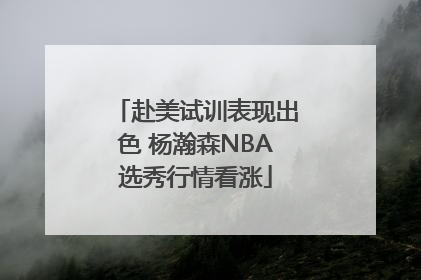 赴美试训表现出色 杨瀚森NBA选秀行情看涨