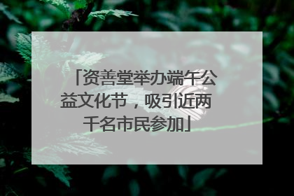 资善堂举办端午公益文化节，吸引近两千名市民参加