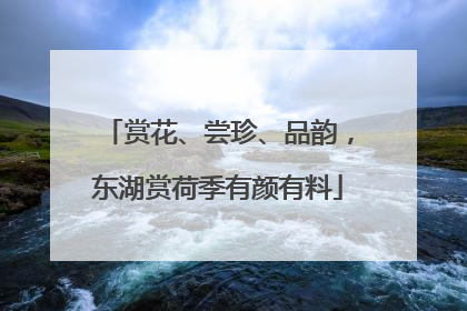 赏花、尝珍、品韵，东湖赏荷季有颜有料