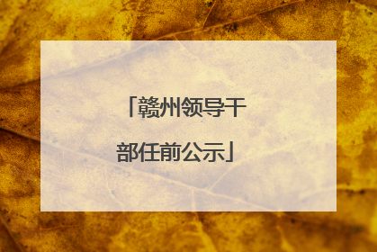 赣州领导干部任前公示