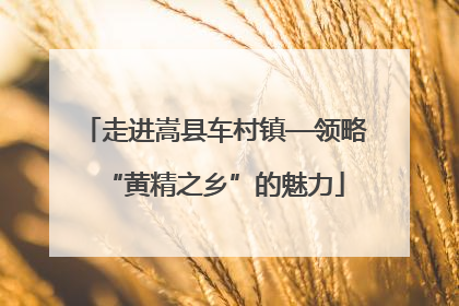 走进嵩县车村镇—领略“黄精之乡”的魅力