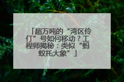 超万吨的“湾区伶仃”号如何移动？工程师揭秘：类似“蚂蚁托大象”