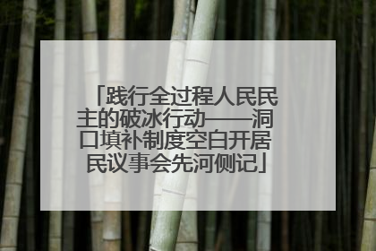 践行全过程人民民主的破冰行动——洞口填补制度空白开居民议事会先河侧记