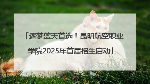 逐梦蓝天首选！昆明航空职业学院2025年首届招生启动