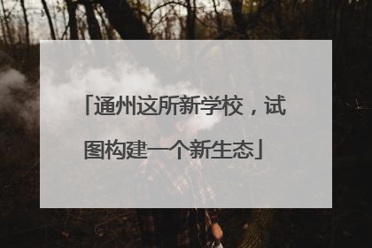 通州这所新学校，试图构建一个新生态