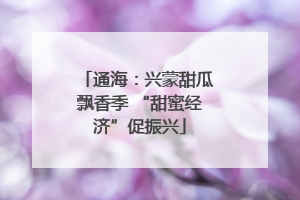 通海：兴蒙甜瓜飘香季 “甜蜜经济”促振兴