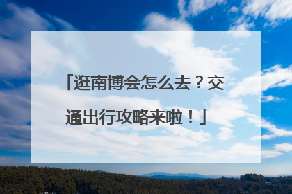 逛南博会怎么去？交通出行攻略来啦！