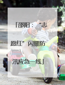 邵阳：“志愿红”闪耀防汛应急一线