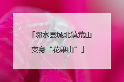 邻水县城北镇荒山变身“花果山”