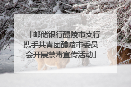 邮储银行醴陵市支行携手共青团醴陵市委员会开展禁毒宣传活动