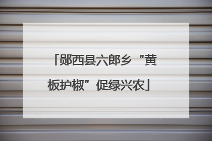 郧西县六郎乡“黄板护椒”促绿兴农