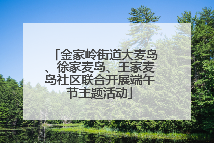 金家岭街道大麦岛、徐家麦岛、王家麦岛社区联合开展端午节主题活动