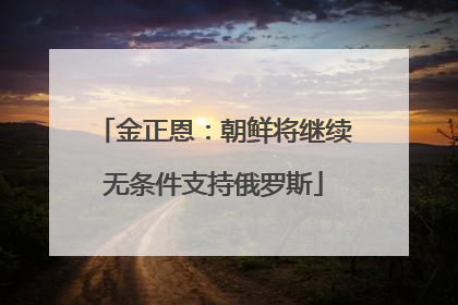 金正恩：朝鲜将继续无条件支持俄罗斯