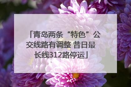 青岛两条“特色”公交线路有调整 昔日最长线312路停运