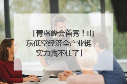 青岛峰会首秀！山东低空经济全产业链实力藏不住了
